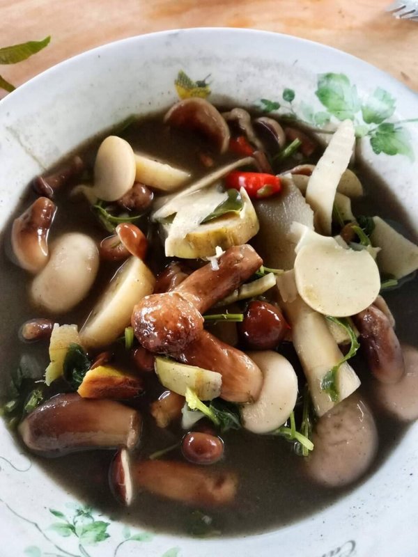 Kaeng pa (junglecurry) – แกงป่า (Thais gerecht)