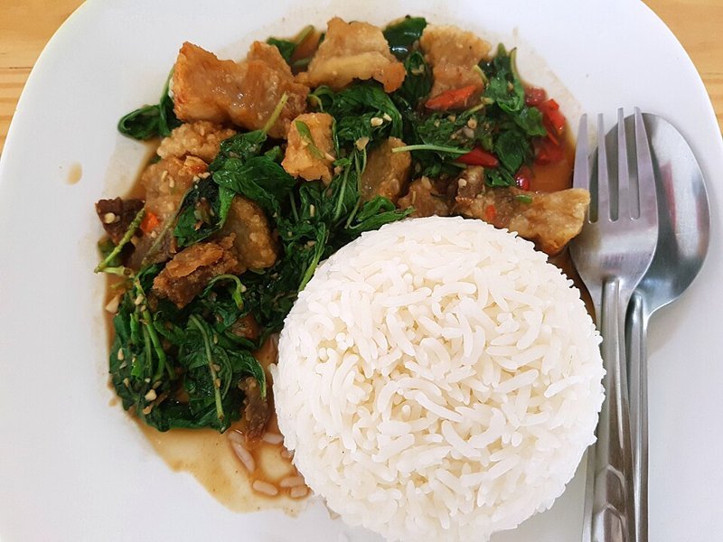 Pad kra pao (roerbak met heilige basilicum) – ผัดกะเพรา (Thais gerecht)